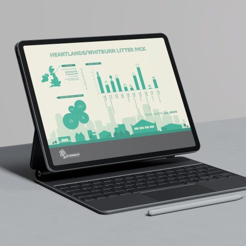 Levenseat Info Graphic Thumbnail